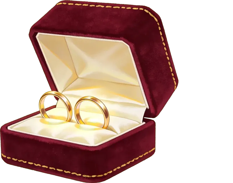 The rings, waiting in their box